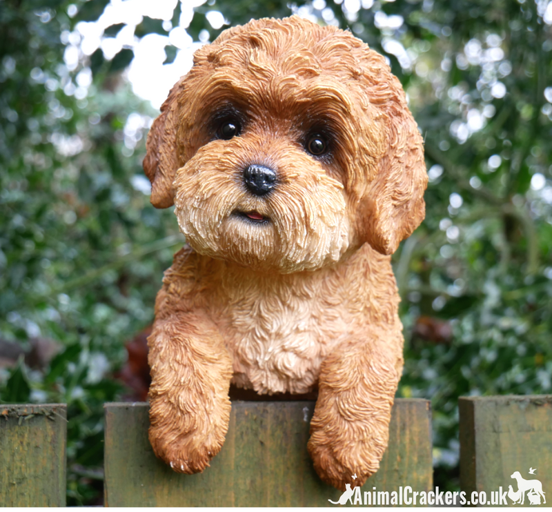 Fence Hanging Labradoodle type dog ornament figurine, novelty garden decoration