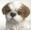 Vivid Arts Pet Pals Beige & White Shih Tzu Puppy ornament, Dog lover gift, in presentation gift box