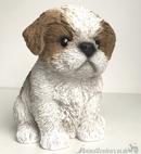 Vivid Arts Pet Pals Beige & White Shih Tzu Puppy ornament, Dog lover gift, in presentation gift box