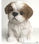 Vivid Arts Pet Pals Beige & White Shih Tzu Puppy ornament, Dog lover gift, in presentation gift box