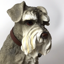 Extra large 24cm Schnauzer figurine by Leonardo, gift boxed