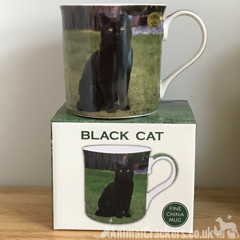 Leonardo quality Black Cat fine china mug with all round print, in coloured gift box, great Jack Russell lover gift