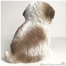 Vivid Arts Pet Pals Beige & White Shih Tzu Puppy ornament, Dog lover gift, in presentation gift box