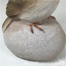 SET OF 2 ROBINS ON STONES indoor or outdoor garden decoration/ornaments, robin lover gift