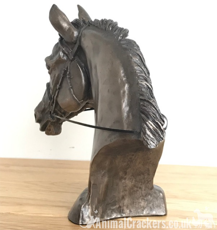 Race Horse Eventer Head bust sculpture in Cold Cast Bronze, by Harriet Glen