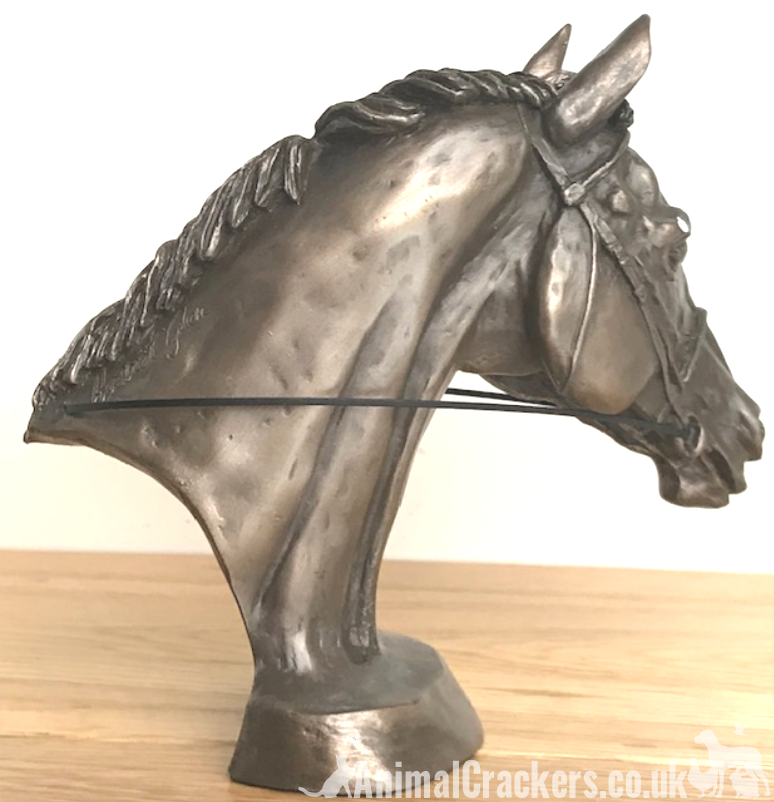 Race Horse Eventer Head bust sculpture in Cold Cast Bronze, by Harriet Glen