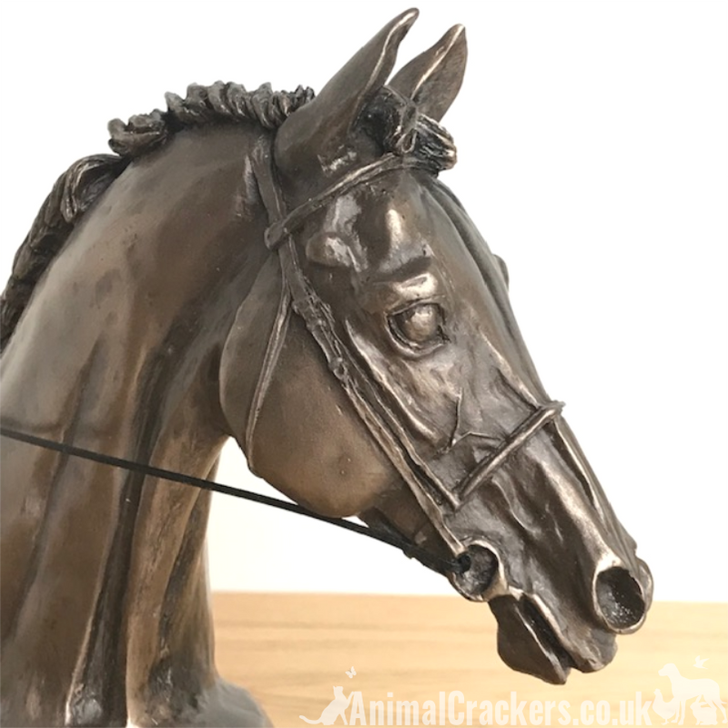 Race Horse Eventer Head bust sculpture in Cold Cast Bronze, by Harriet Glen