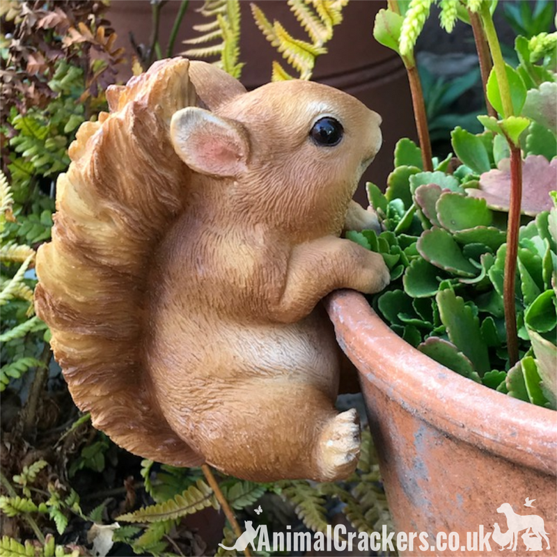 SQUIRREL Pot Pal POT HANGER novelty garden ornament decoration garden lover gift