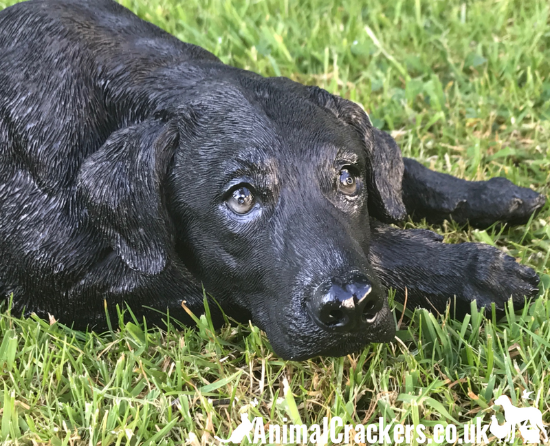 Black Labrador large 44cm long realistic indoor outdoor garden ornament memorial