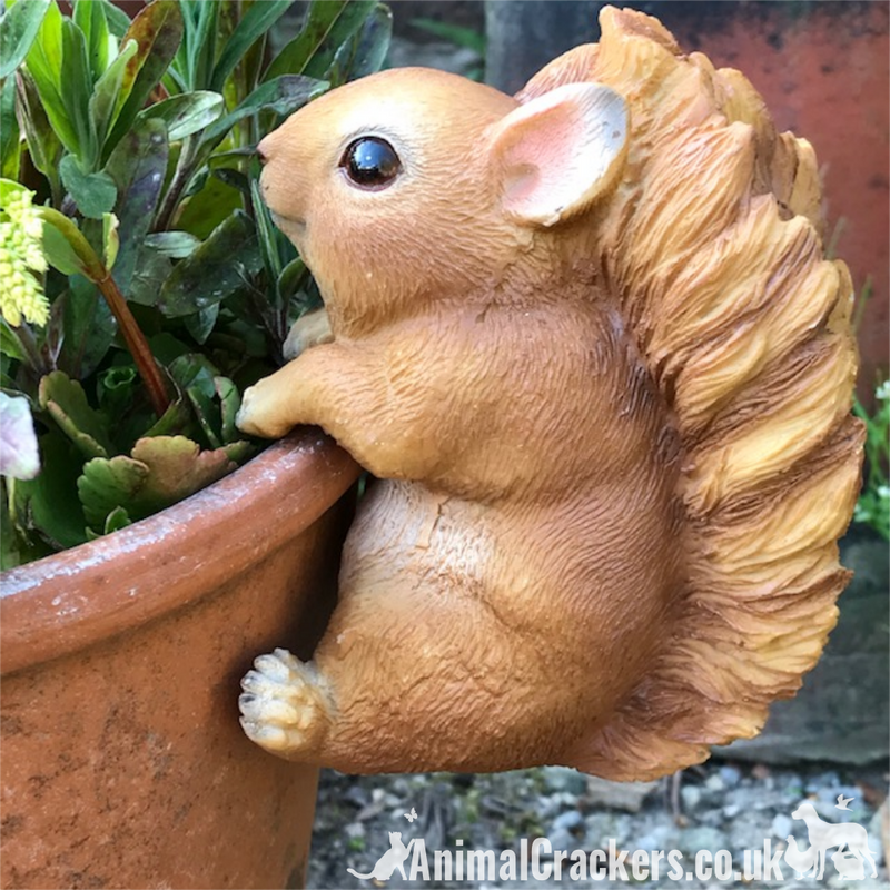 SQUIRREL Pot Pal POT HANGER novelty garden ornament decoration garden lover gift