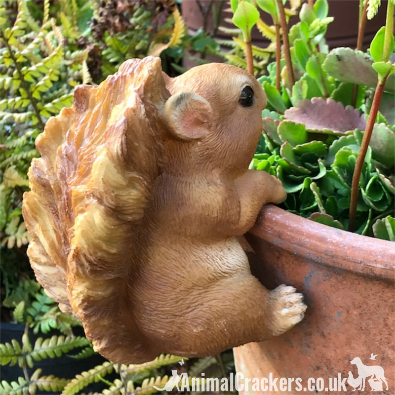 SQUIRREL Pot Pal POT HANGER novelty garden ornament decoration garden lover gift