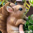 SQUIRREL Pot Pal POT HANGER novelty garden ornament decoration garden lover gift