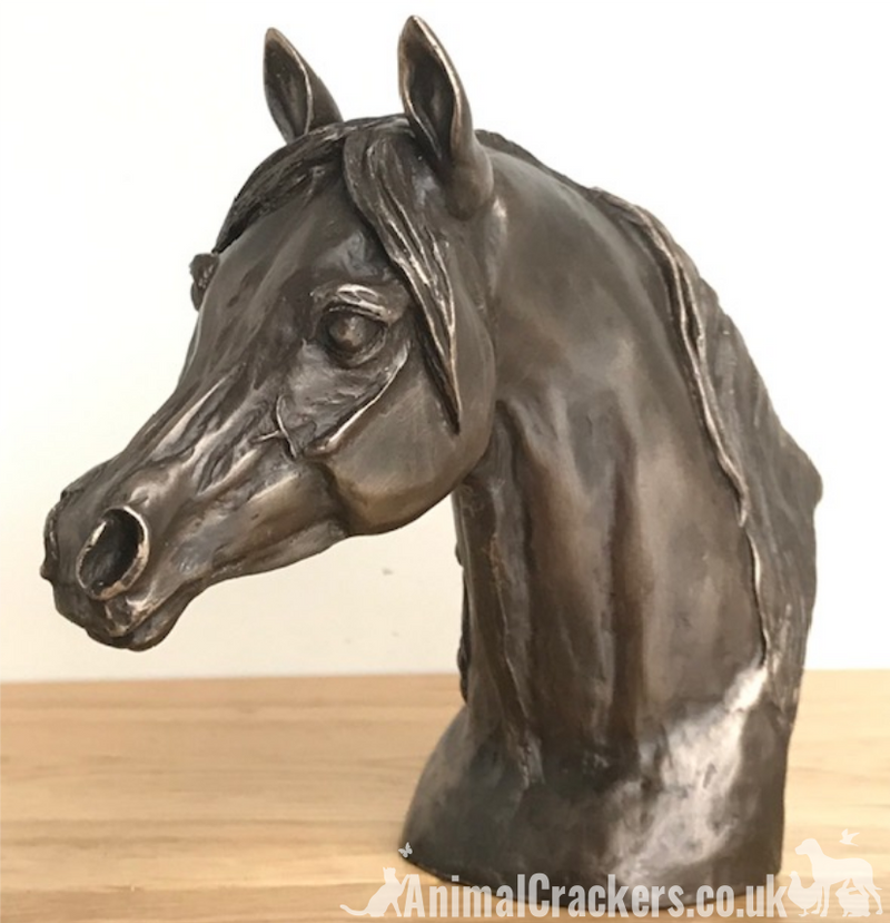 Arab Horse Head bust in Cold Cast Bronze by Harriet Glen, fabulous horse lover sculpture