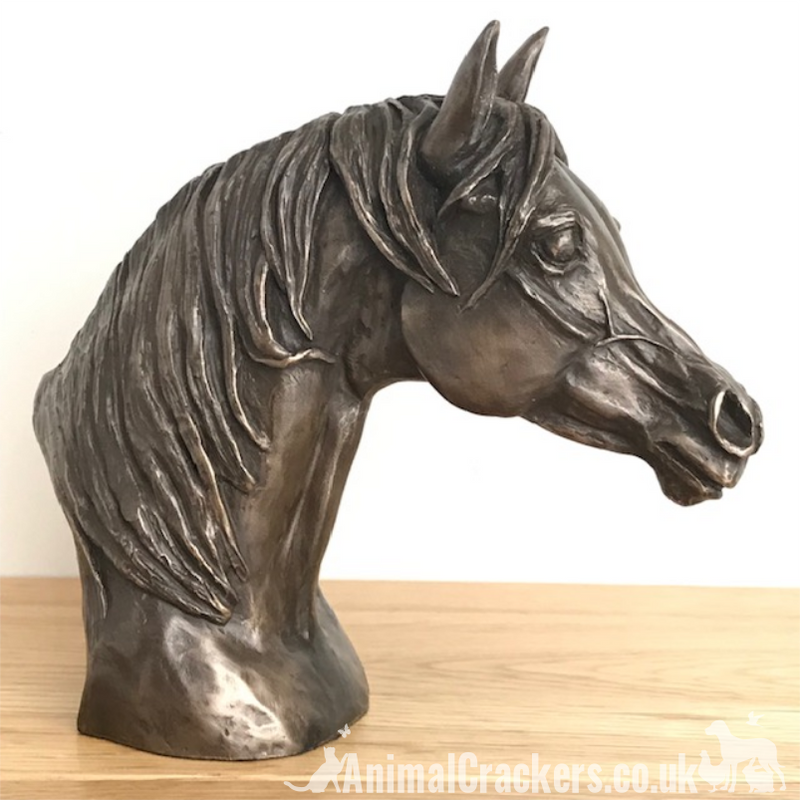 Arab Horse Head bust in Cold Cast Bronze by Harriet Glen, fabulous horse lover sculpture