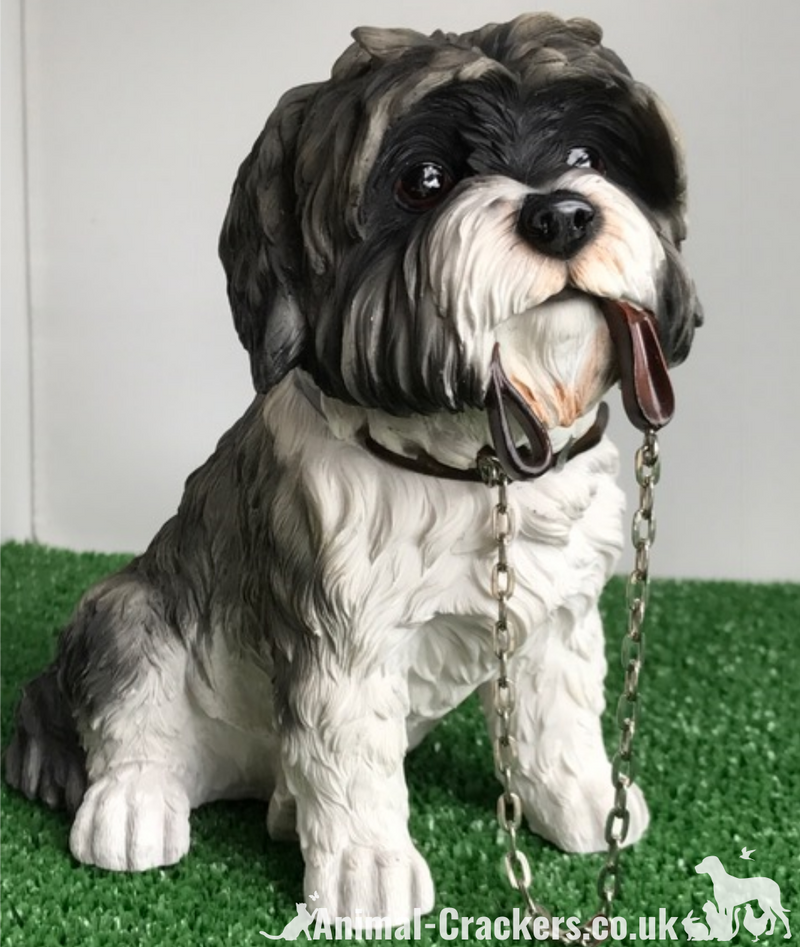 Large 17cm Grey Shih Tzu ornament figurine quality Leonardo walkies range, boxed