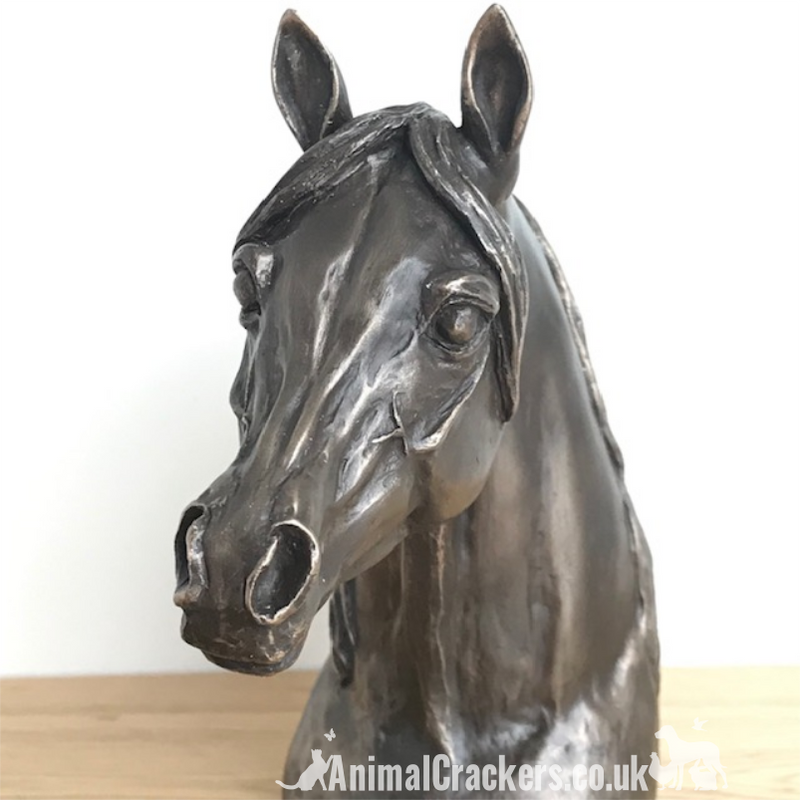 Arab Horse Head bust in Cold Cast Bronze by Harriet Glen, fabulous horse lover sculpture