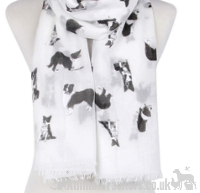 Border Collie (black & white print) ladies Scarf Sarong, quality cotton mix fabric