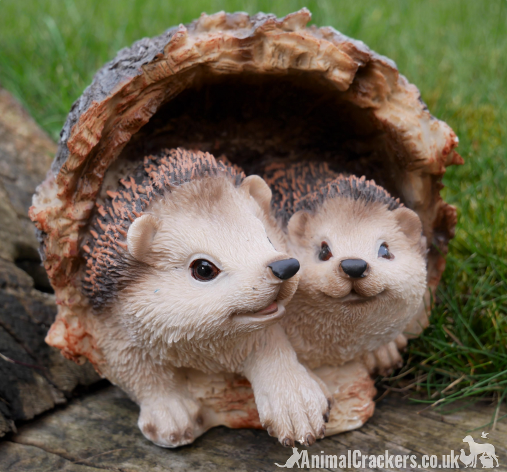 Very Cute Hedgehog In Nature, National Geography, Wide Life Animals Ai Generated Very Cute Hedgehog In Nature, National Geography, Wide Life Animals Ai Generated