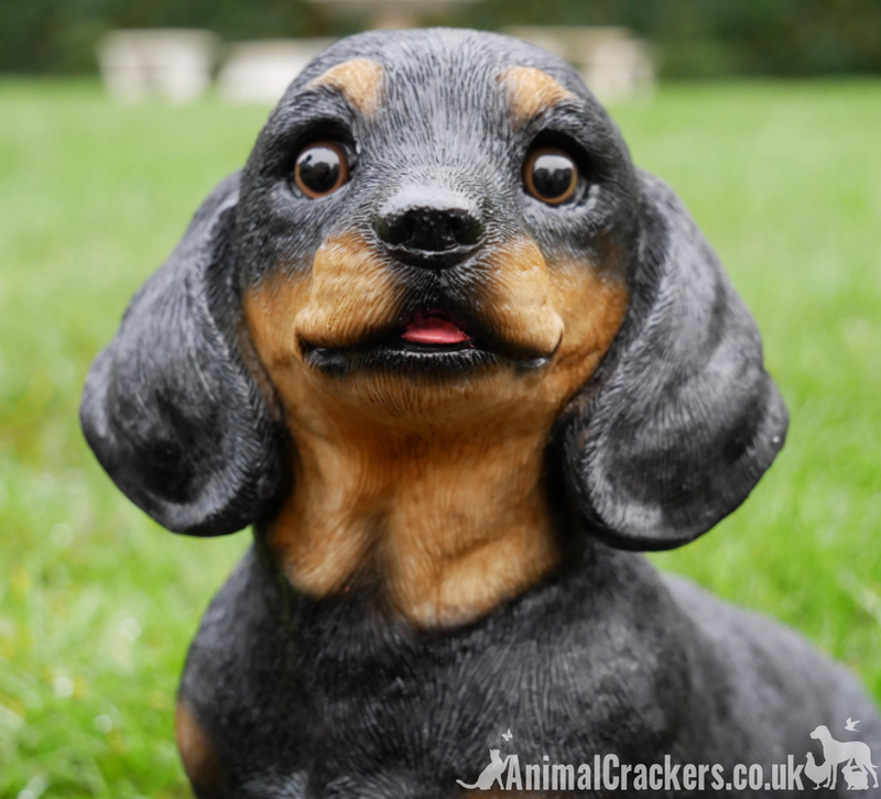 Cute sitting Dachshund indoor or garden ornament, great Sausage Dog lover gift