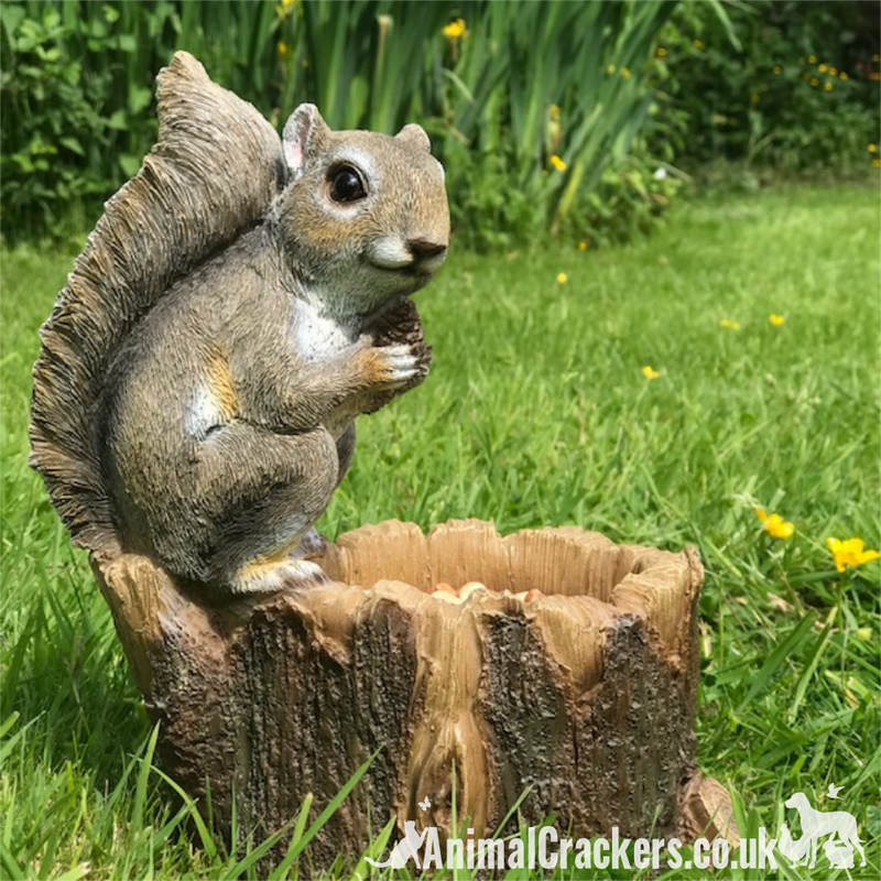Squirrel on Tree trunk, novelty nut feeder or garden decoration, a great Squirrel lover gift