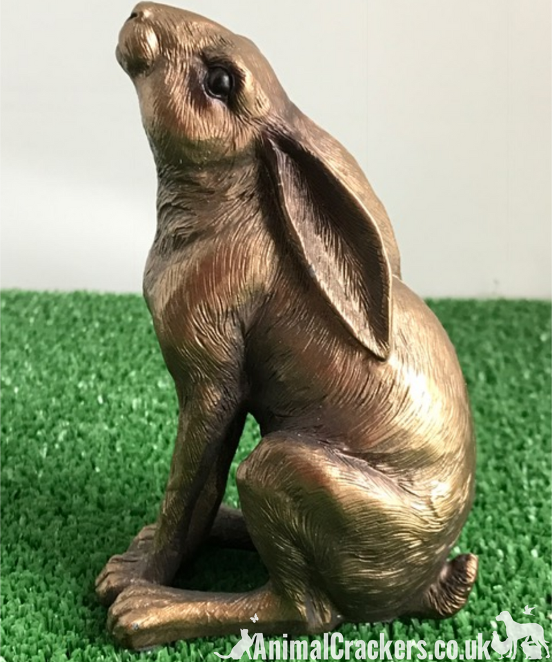 Leonardo Reflections Bronzed range Moongazing Hare, gift boxed