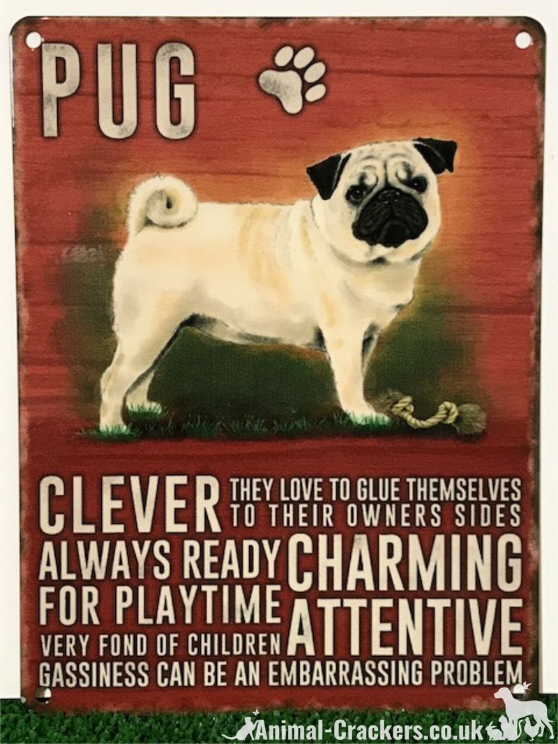 20cm metal vintage style Pug lover gift breed characteristics hang sign plaque