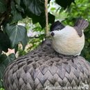 Novelty ACORN BIRD HOUSE NEST BOX decorated with bird, garden bird lover gift