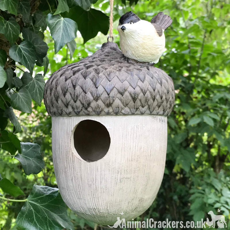 Novelty ACORN BIRD HOUSE NEST BOX decorated with bird, garden bird lover gift