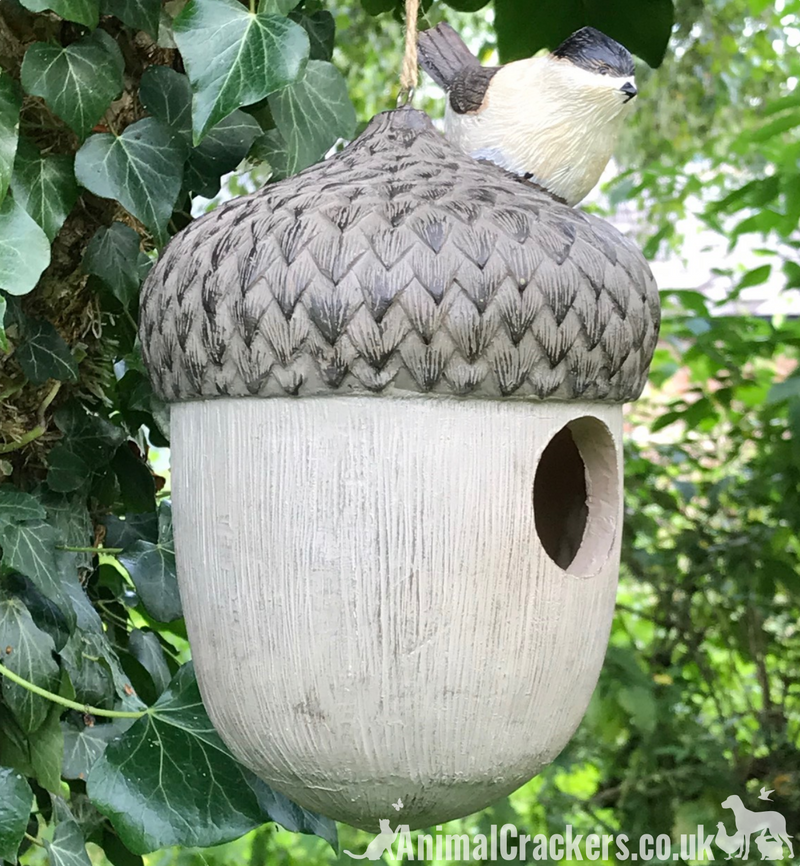 Novelty ACORN BIRD HOUSE NEST BOX decorated with bird, garden bird lover gift