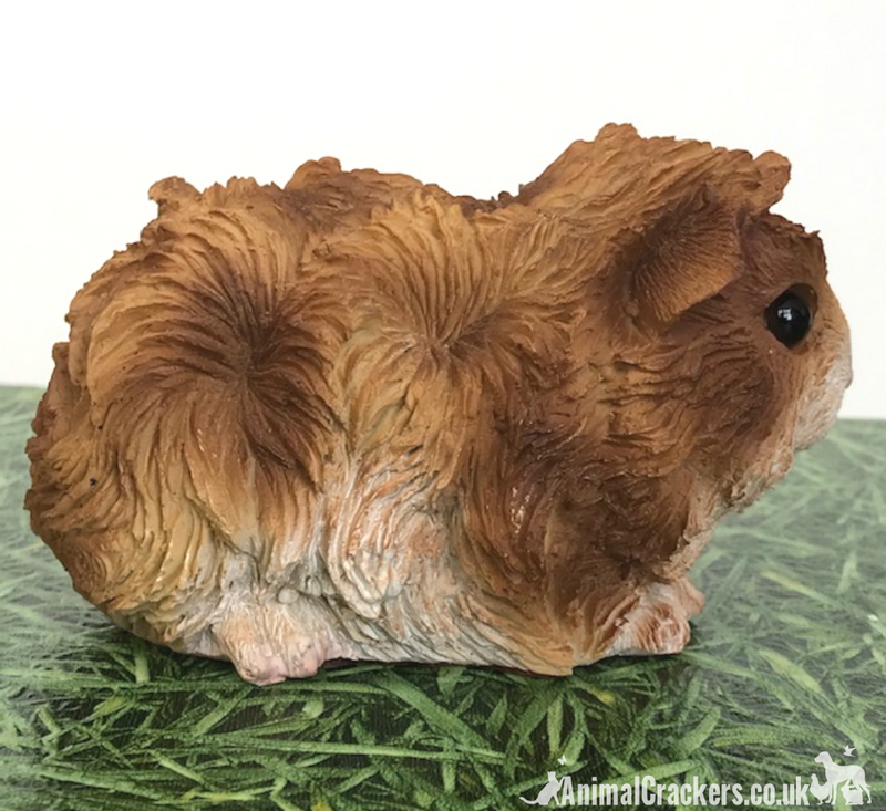 Cute Chestnut & White long haired Guinea Pig ornament