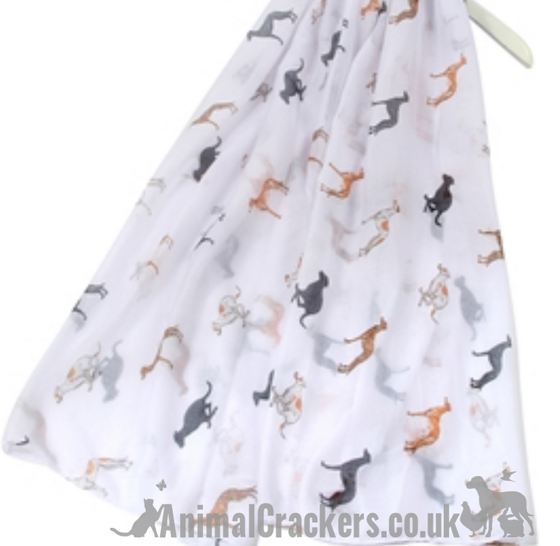 Lovely quality ladies lightweight Greyhound print scarf sarong in a choice of colours
