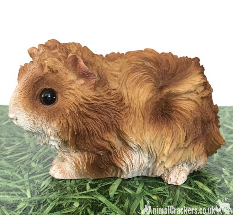 Cute Chestnut & White long haired Guinea Pig ornament