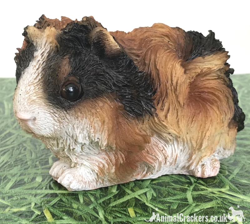 Cute Tortoiseshell long haired Guinea Pig ornament