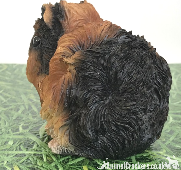 Cute Tortoiseshell long haired Guinea Pig ornament