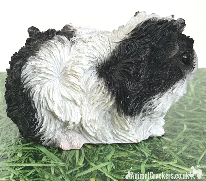 Cute Black & White long haired Guinea Pig ornament