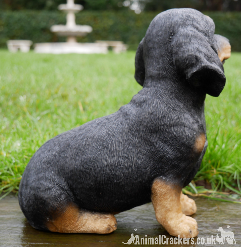 Cute sitting Dachshund indoor or garden ornament, great Sausage Dog lover gift
