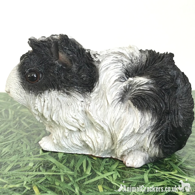 Cute Black & White long haired Guinea Pig ornament