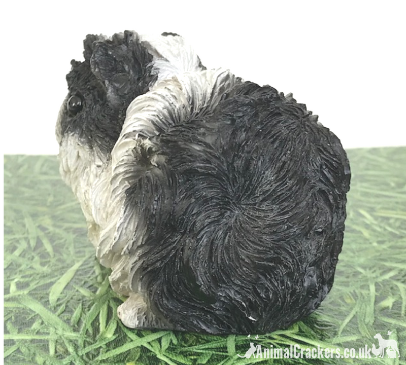 Cute Black & White long haired Guinea Pig ornament