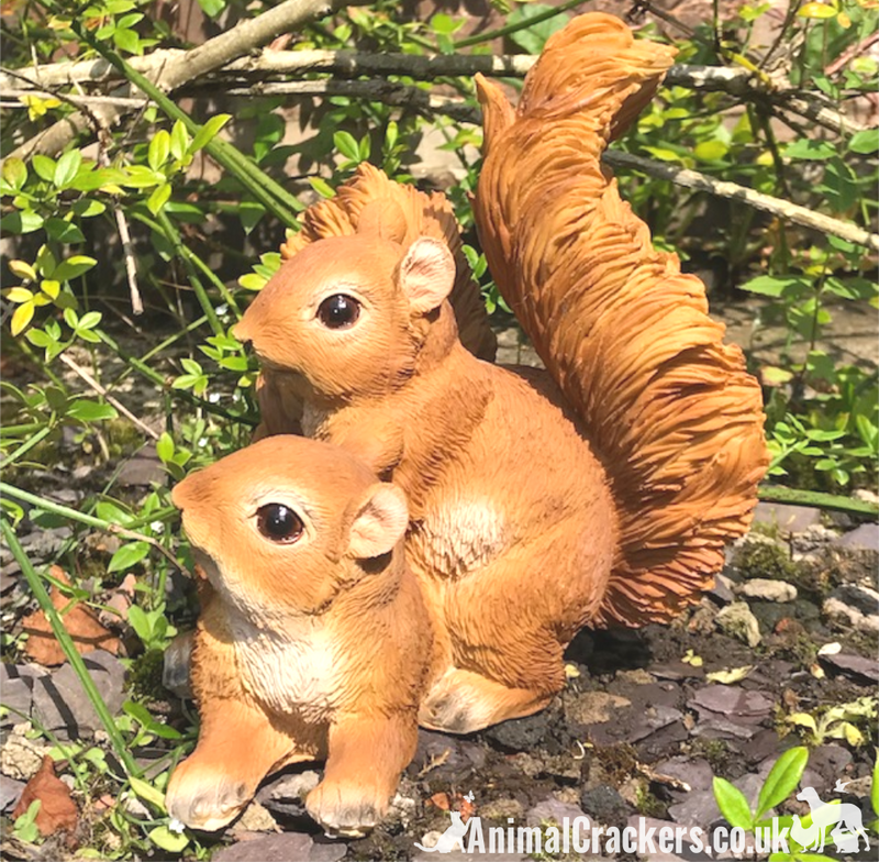PLAYFUL SQUIRRELS novelty home or garden ornament figurine, great Squirrel lover gift