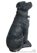 Extra large 26cm Black & White Staffy Staffordshire Bull Terrier ornament from the Leonardo 'Walkies' range