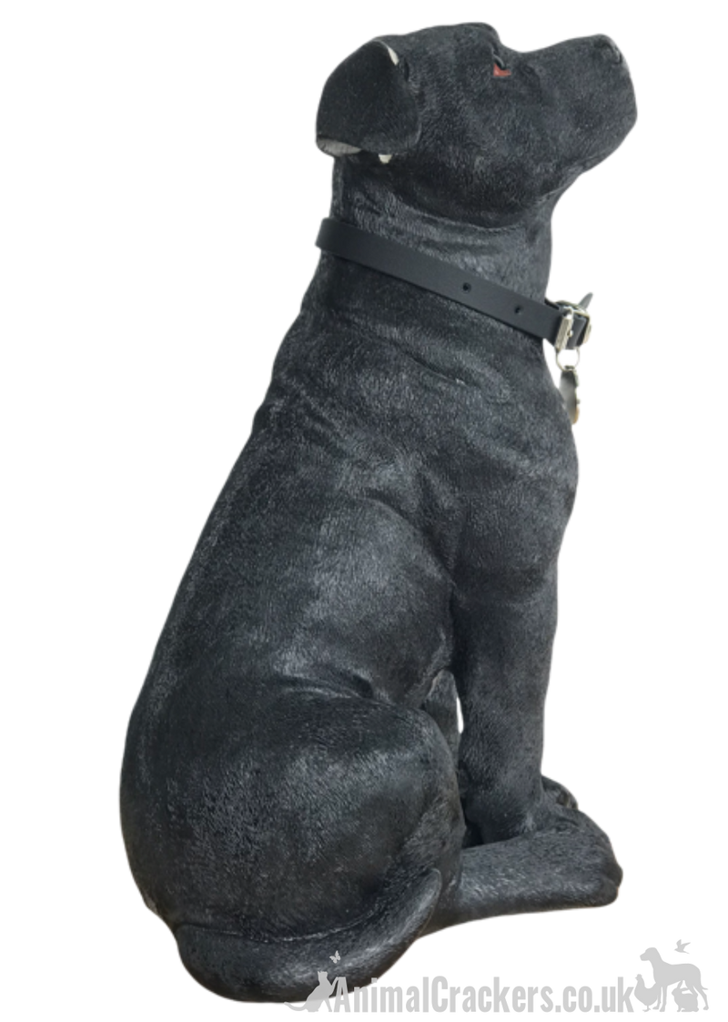 Extra large 26cm Black & White Staffy Staffordshire Bull Terrier ornament from the Leonardo 'Walkies' range