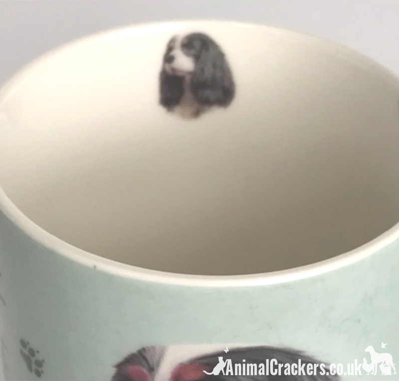 'A House is Not a Home Without a Cavalier King Charles Spaniel' design china Mug by Leonardo, in presentation gift box