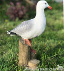 Seagull on post figurine indoor or outdoor ornament or nautical decoration