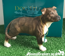 Brown Staffordshire Bull Terrier Staffie Staffy ornament figurine Leonardo boxed