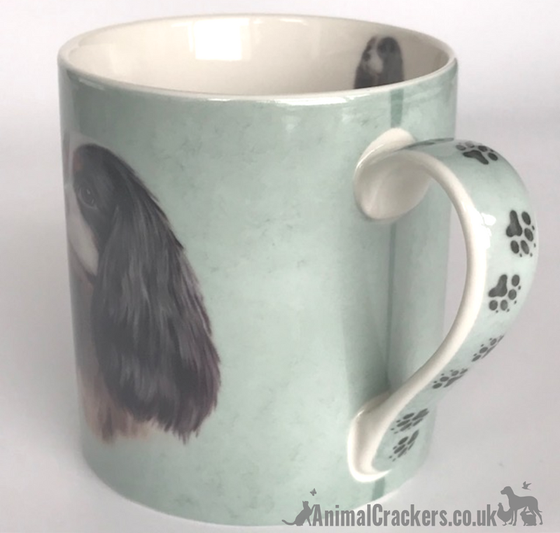 'A House is Not a Home Without a Cavalier King Charles Spaniel' design china Mug by Leonardo, in presentation gift box