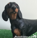 Black & Tan Dachshund Sausage Dog Leonardo lifelike ornament figurine gift boxed