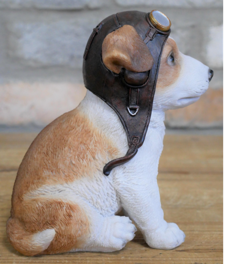 Dog pilot goggles deals