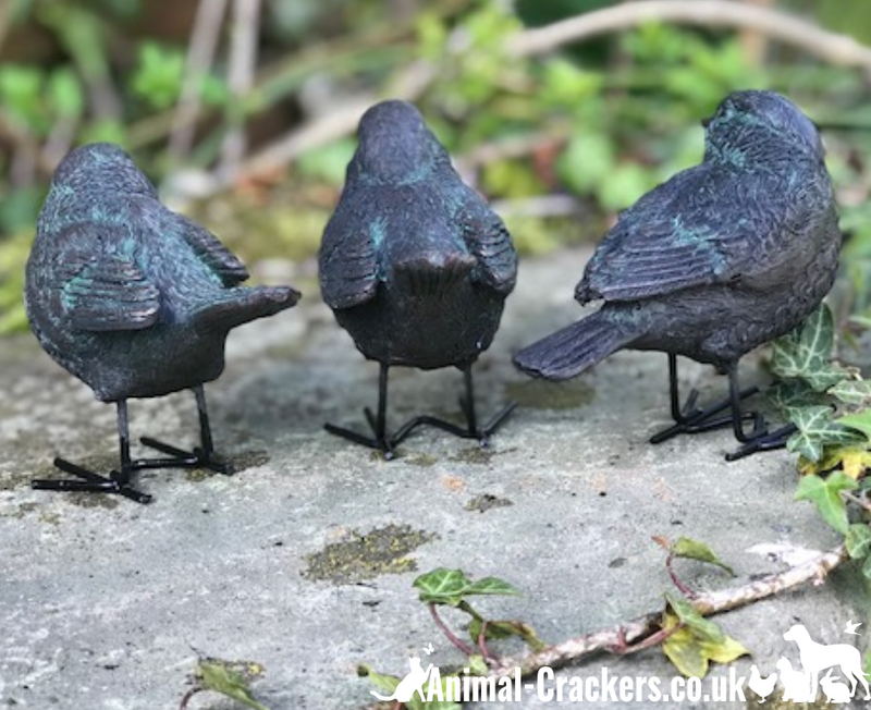 SET OF 3 bronze effect birds, sparrow, blue tit, robin lover indoor or outdoor decoration