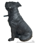 Extra large 26cm Black & White Staffy Staffordshire Bull Terrier ornament from the Leonardo 'Walkies' range