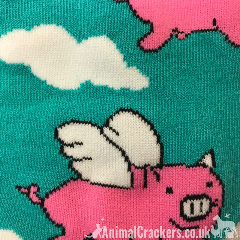 Novelty bright colour 'Flying Pig' Pig design socks form the Sock Society, Unisex & One Size fits all, quality Pig lover gift/stocking filler